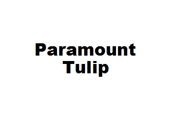 Paramount Tulip